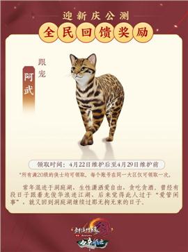 昌吉天龙八部私服